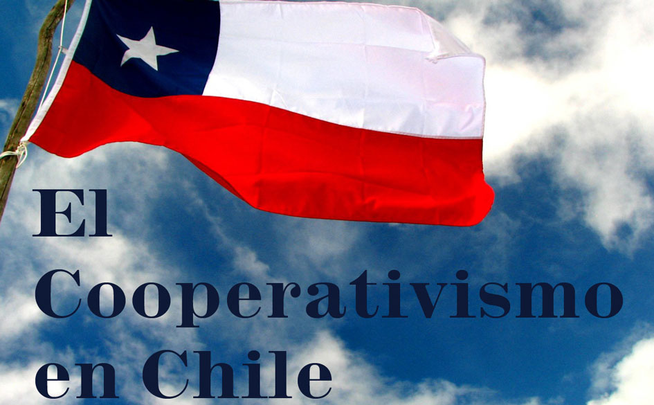 Diagnóstico del Cooperativismo en Chile, por el Ministerio de Economía, Fomento y Turismo de Chile